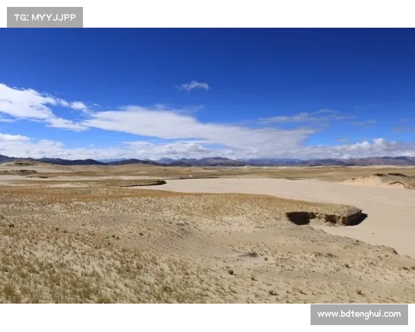 荒漠心灵之旅探索指南：走进孤独与自我重生的深层对话